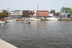 retire-to-Annapolis