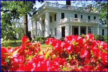 Savannah-tours Savannah-tours