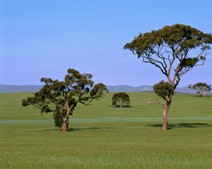 Retirement Villages South Australia